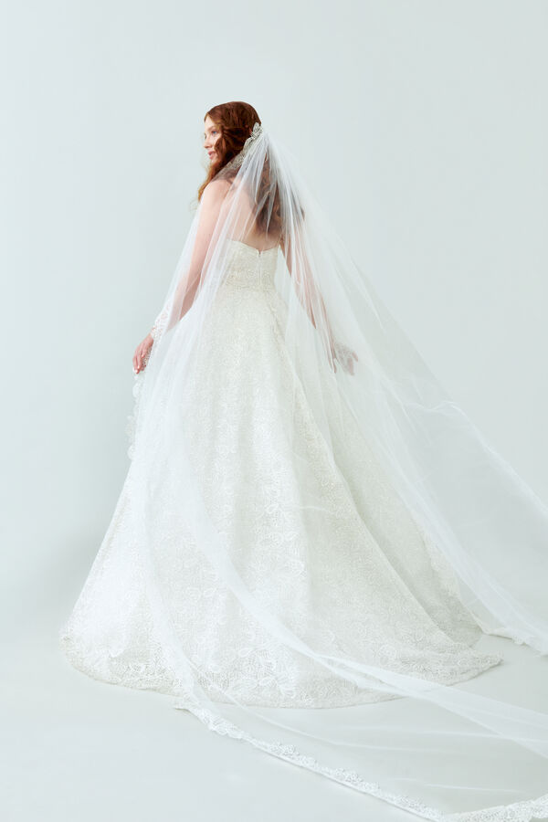 Tulle Veil avorio