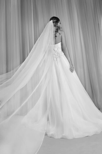 Tulle Veil